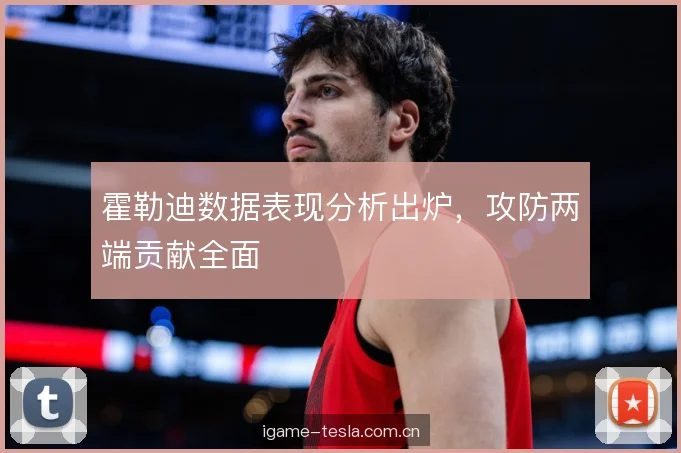 霍勒迪数据表现分析出炉，攻防两端贡献全面